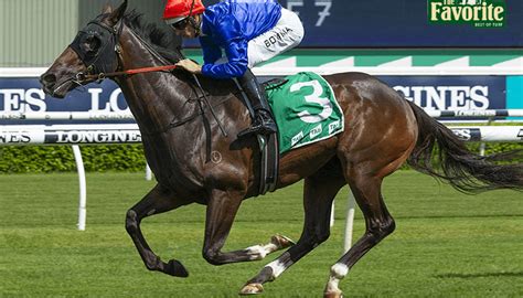 voyeusesur turf